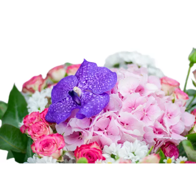 Bouquet with hydrangea